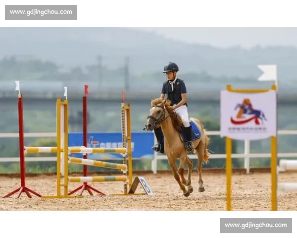 锦标赛落幕，教练支招青少年马术进阶